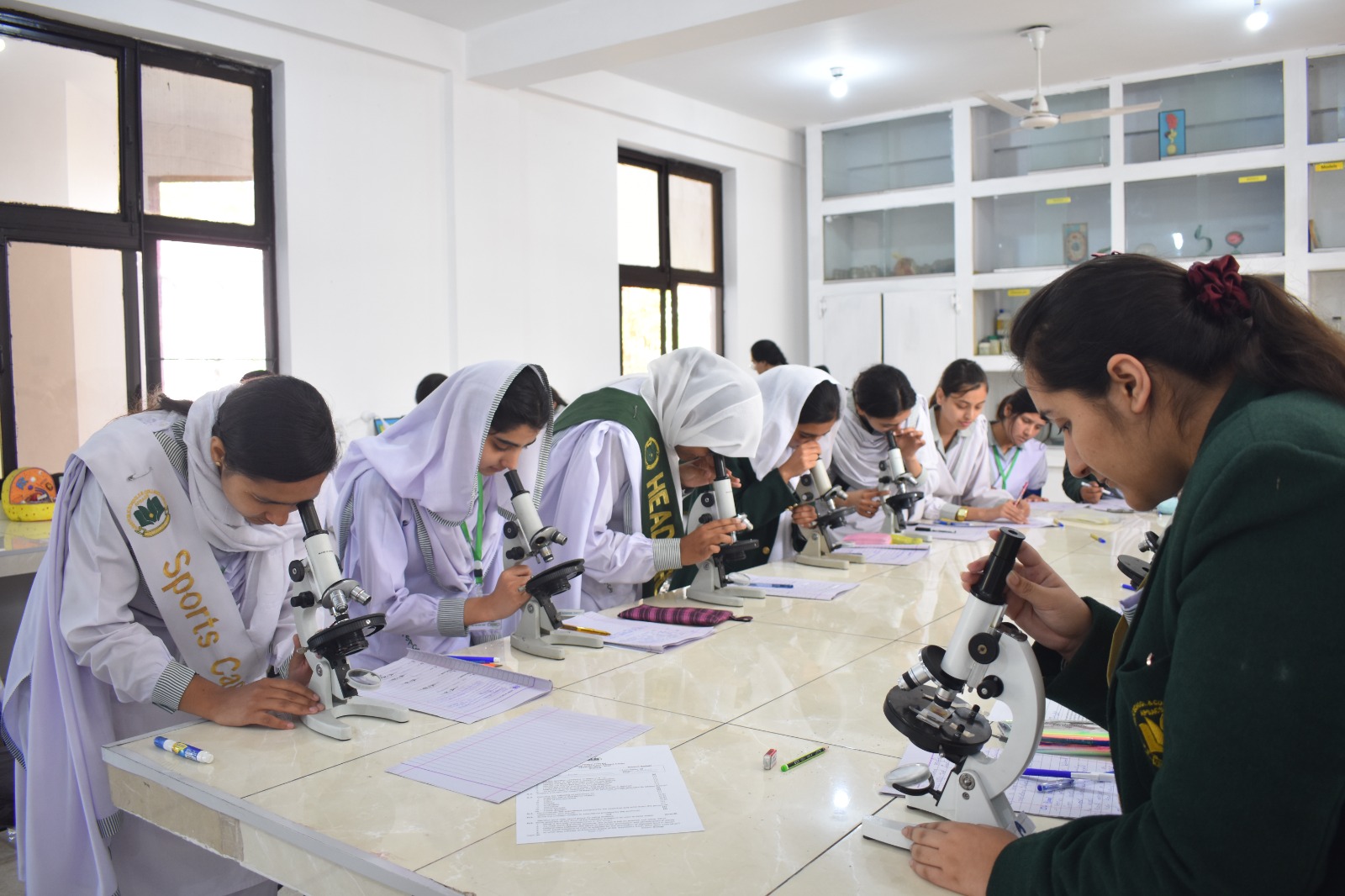 Army Public College Sialkot Cantt science activity